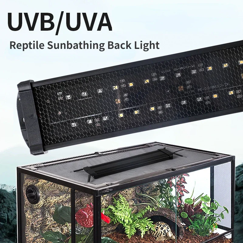 Calcium Powder Reptile - Reptile UVA+UVB Full Spectrum LED UV