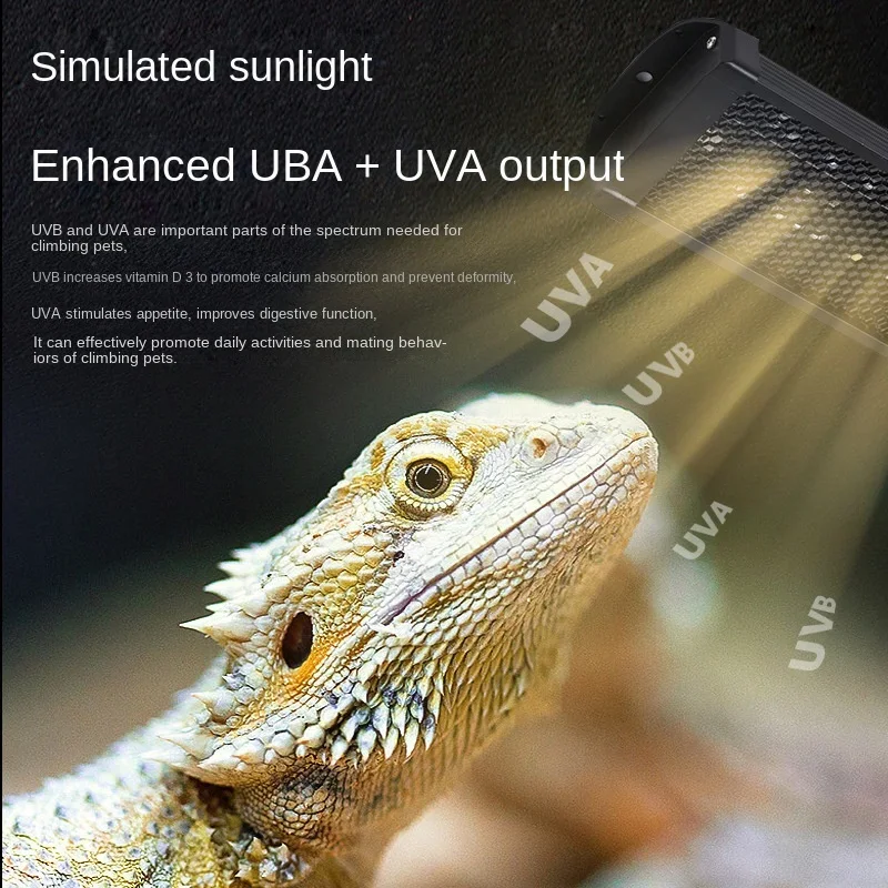 Reptile UVA+UVB Full Spectrum  - Calcium Powder Reptile 评论和价格