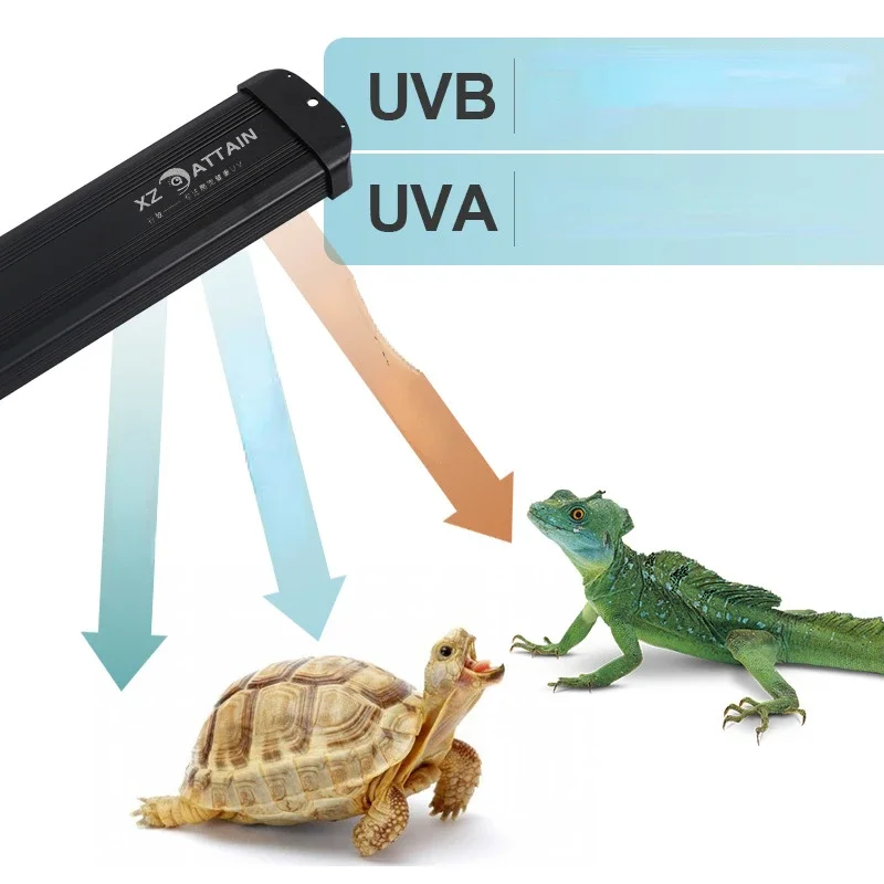 Reptile UVA+UVB Full Spectrum  - Calcium Powder Reptile 评论和价格