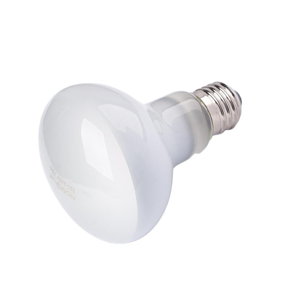 Lizard Heater Temperature Cont - Basking Bulb Halogen 评论和价格
