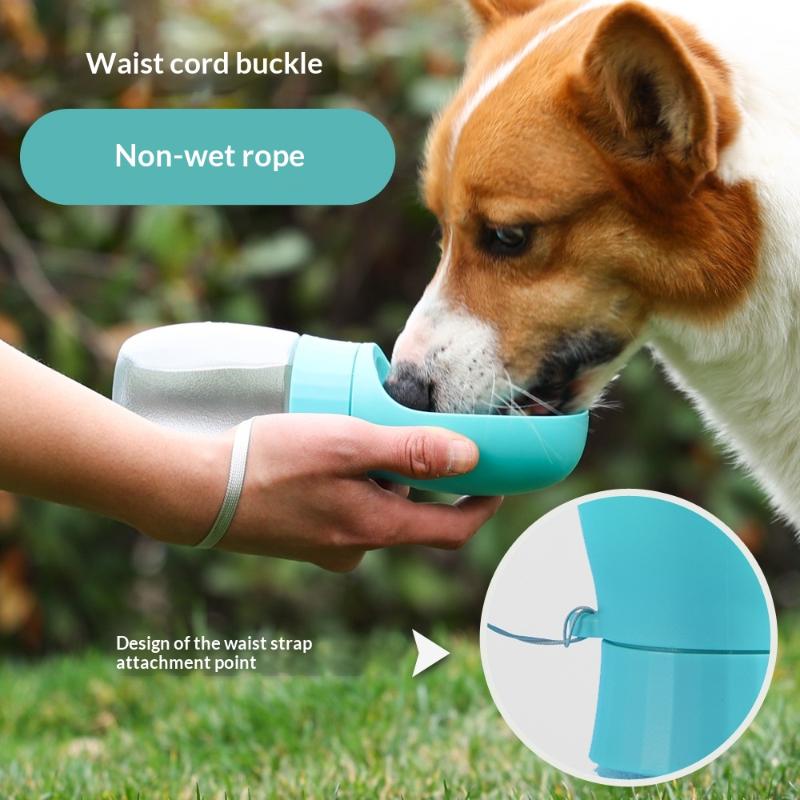Big Dog Water Bottle Portable  - Royal Canin Food Medium 评论和价格