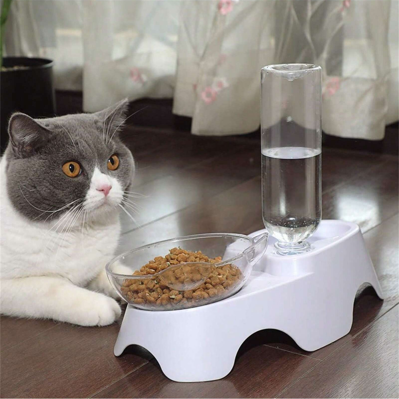 1PC Double Dog Cat Bowls Pets  - Royal Canin Food Medium 评论和价格