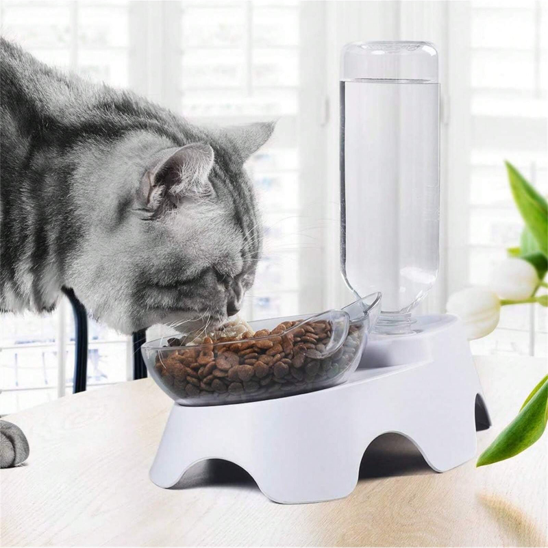 1PC Double Dog Cat Bowls Pets  - Royal Canin Food Medium 评论和价格