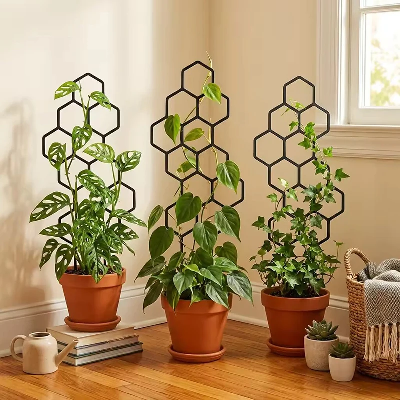 2/4pcs Honeycomb Design Plant  - Vine Climbing Plastic 评论和价格