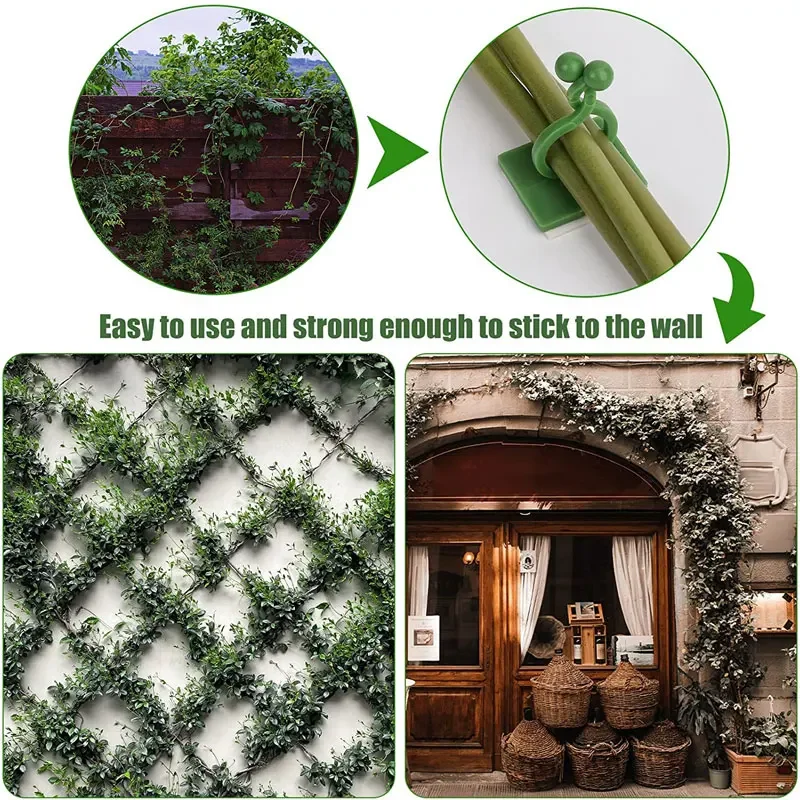 1/30/50Pcs For Garden Accsesor - Vine Climbing Plastic 评论和价格