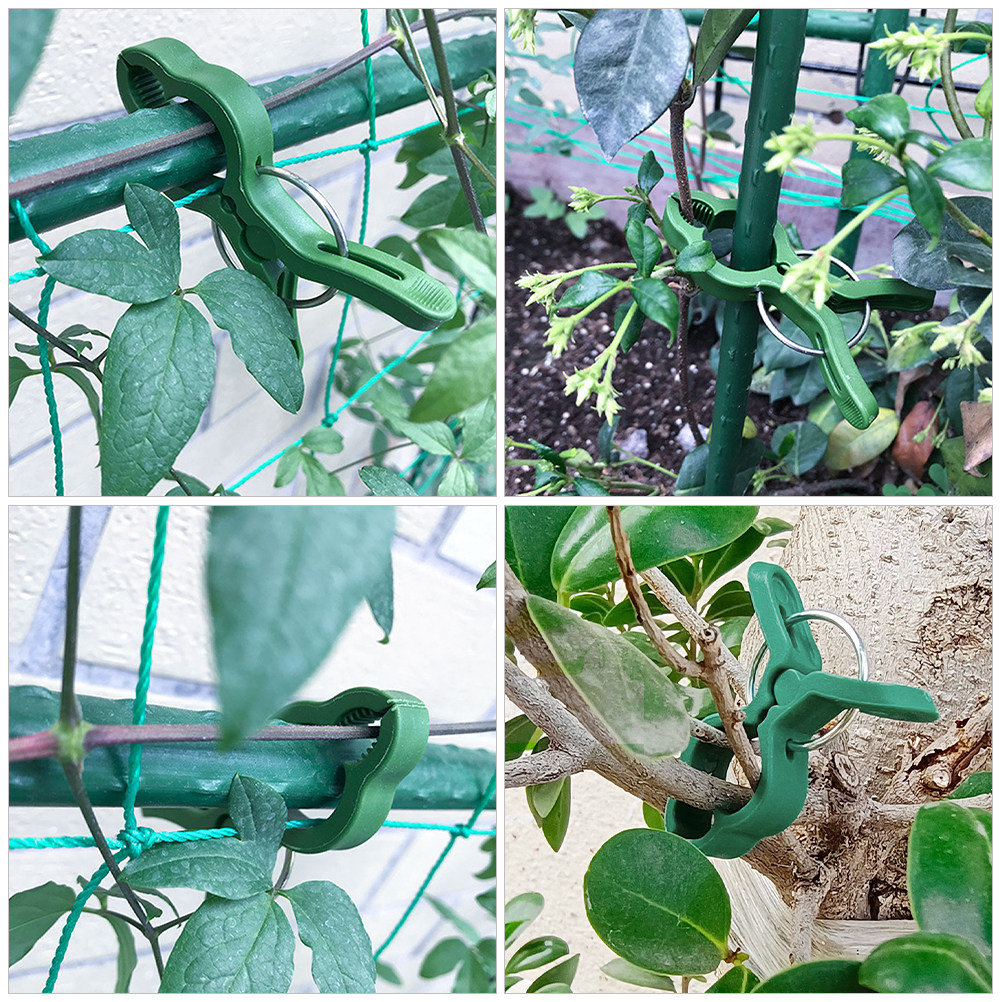 60Pcs Plant Support Clips for  - Vine Climbing Plastic 评论和价格