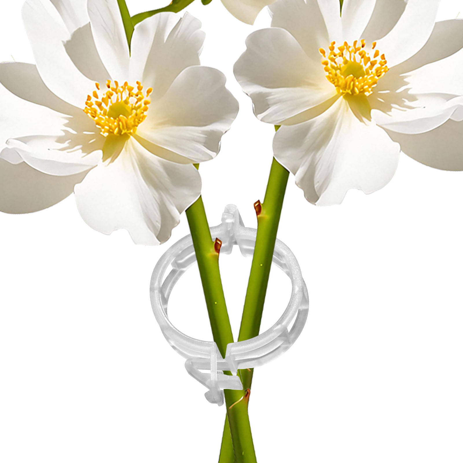Secured Plastic Plant Clip for - Vine Climbing Plastic 评论和价格