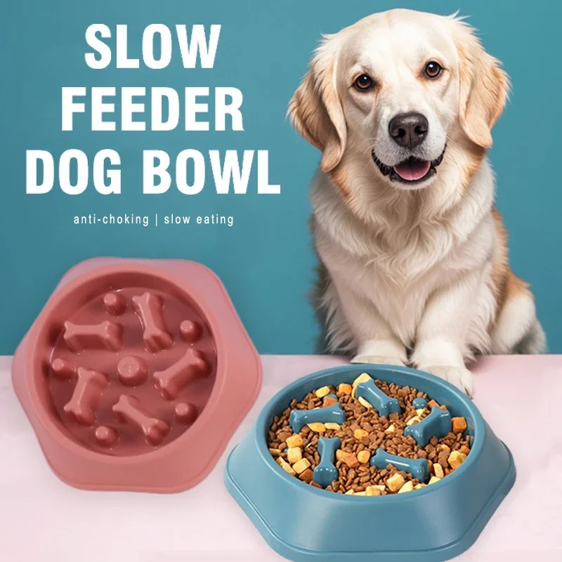 1Pc Slow Feeder Dog Bowl Anti- - Royal Canin Food Medium 评论和价格